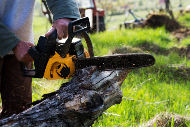 Best Lawn Mowing  in North Lakeport, CA
